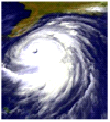 In Calhoun Hurricane Wind Mitigation Inspections are vital.